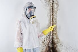  Milford, DE Mold Removal & Remediation Pros